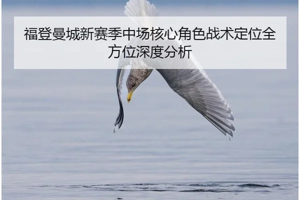 fu-deng-man-cheng-xin-sai-ji-zhong-chang-he-xin-jue-se-zhan-shu-ding-wei-quan-fang-wei-shen-du-fen-xi-3-687.jpg