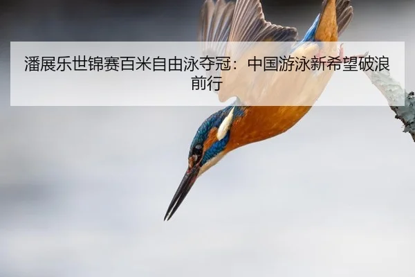 pan-zhan-le-shi-jin-sai-bai-mi-zi-you-yong-duo-guan-zhong-guo-you-yong-xin-xi-wang-po-lang-qian-xing-2-637.jpg