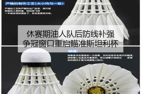 休赛期油人队后防线补强 争冠窗口重启瞄准斯坦利杯